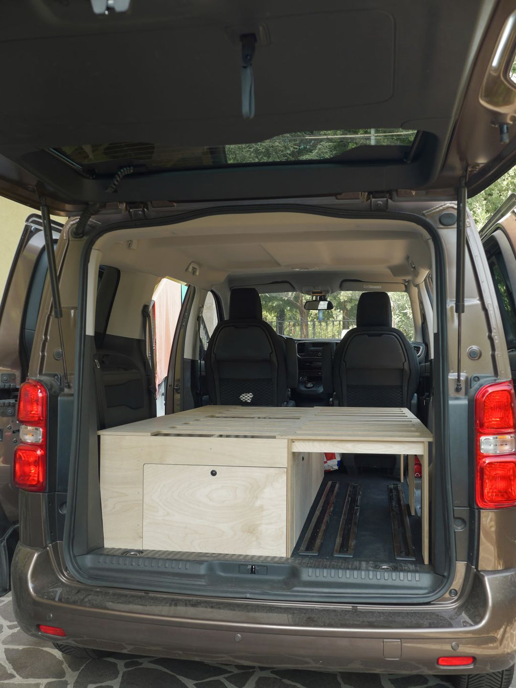 Pull-Out Bed Van
